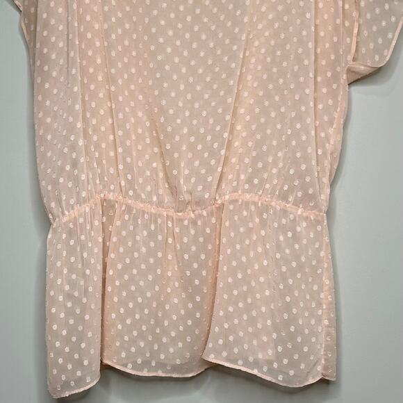 Black Rainn Peach Sheer Swiss Dot Shirt Size L Sleeveless - Picture 3 of 9